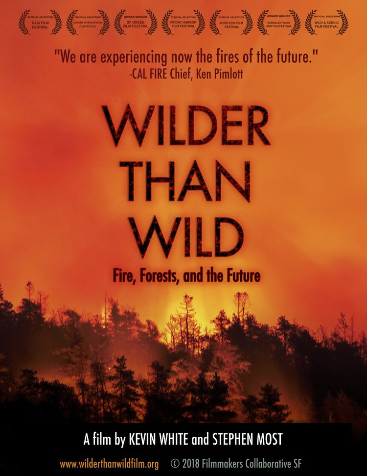 Wilder than Wild : Fire, Forests and the Future A film by Kevin White and Stephen Most Image of Trees on Fire Orange and Black